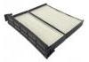 空調濾清器 Cabin Air Filter:1017025894