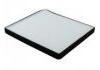 空調(diào)濾清器 Cabin Air Filter:A21-8107915DT